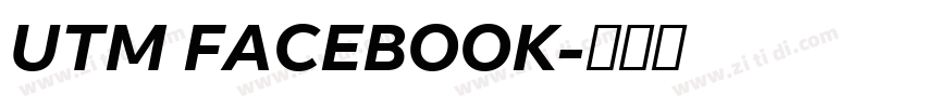 UTM FACEBOOK字体转换